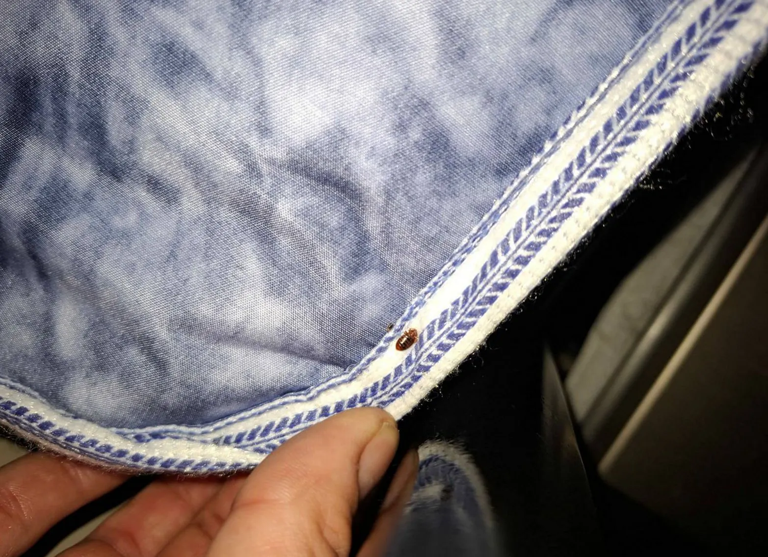 Commercial pest management at a Cleveland business property